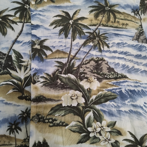 Pierre Cardin Hawaiian Shirt XL - Picture 2 of 5